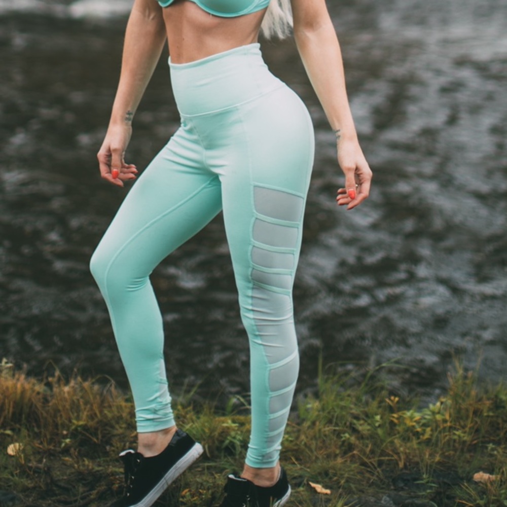 Buff bunny collection